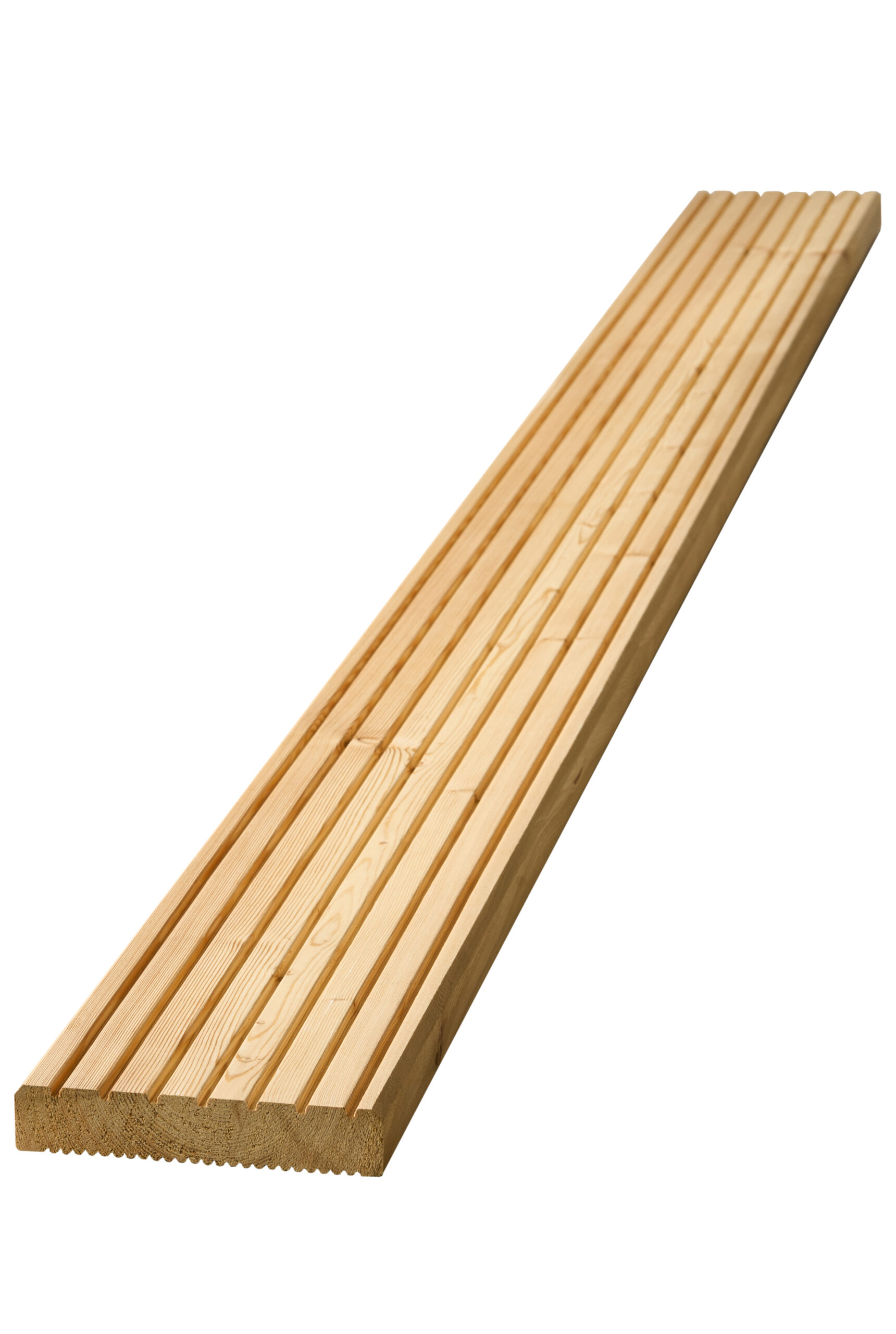 Daurische Lärche 27x142 Grobseite
